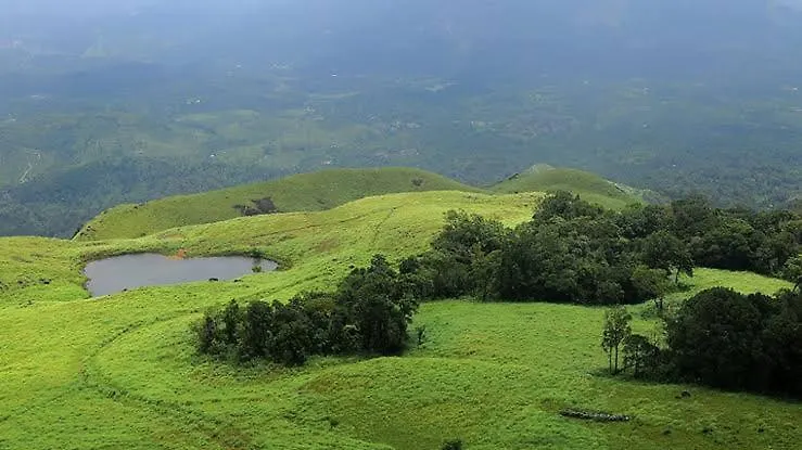 Dream Inn Meenangadi Inde