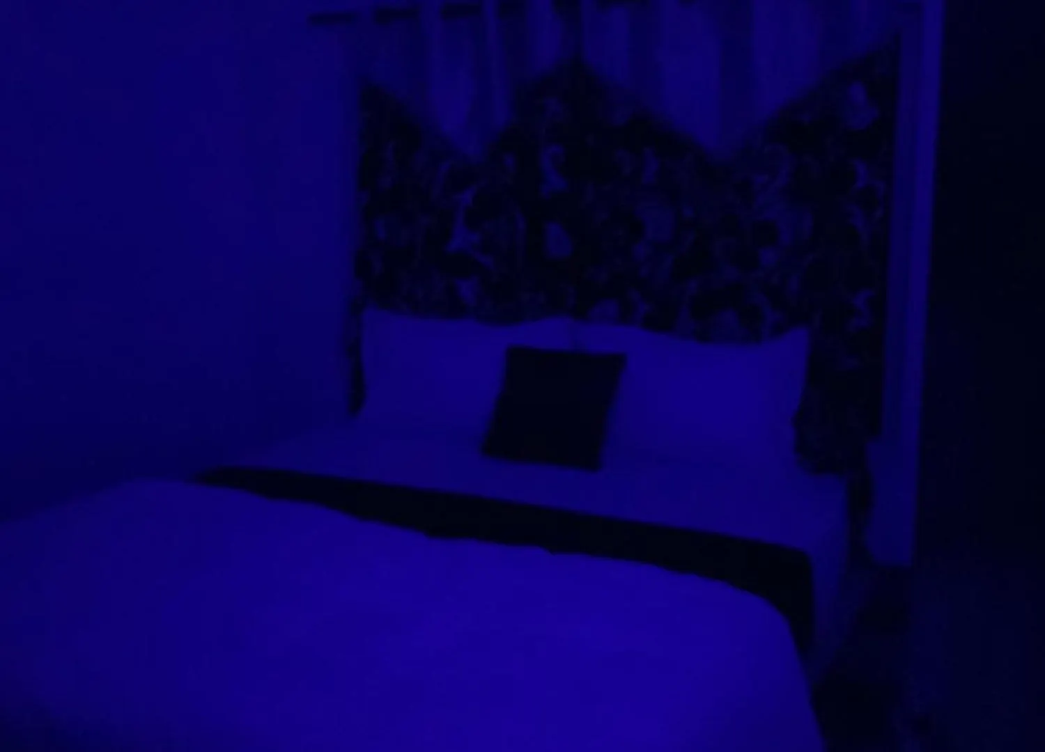 Dream Inn Meenangadi 0*,  Inde